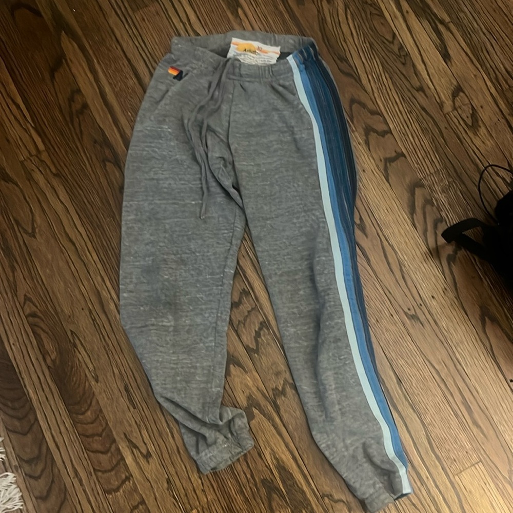 Lightly worn aviator nation sweatpants